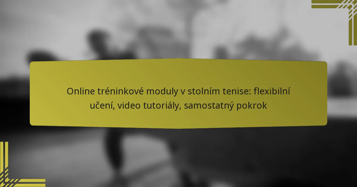 Online tréninkové moduly v stolním tenise: flexibilní učení, video tutoriály, samostatný pokrok