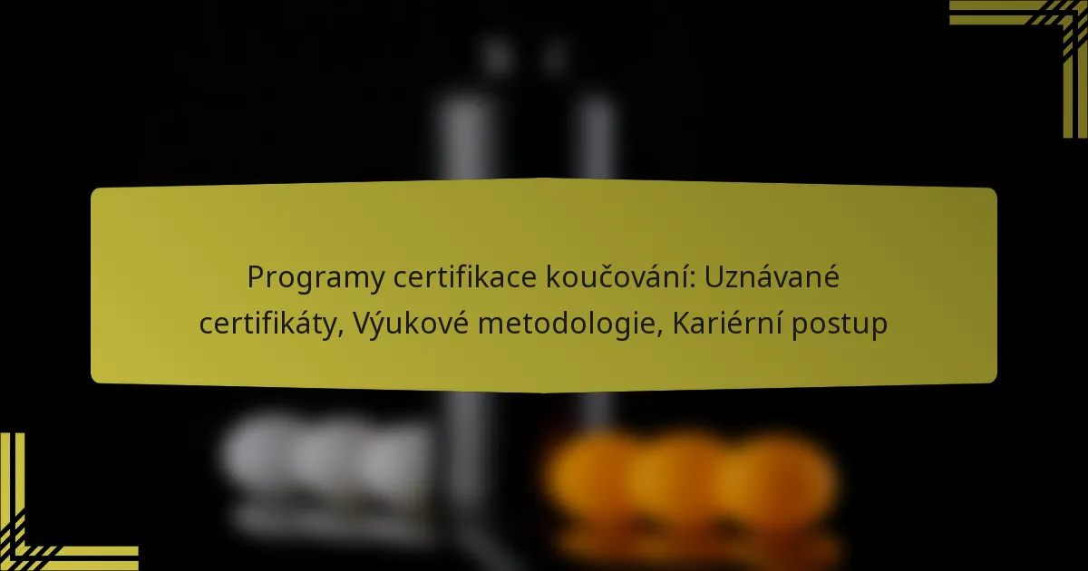 Programy certifikace koučování: Uznávané certifikáty, Výukové metodologie, Kariérní postup