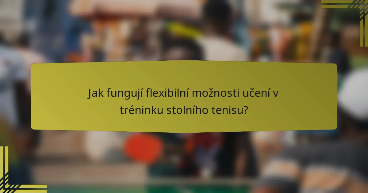 Jak fungují flexibilní možnosti učení v tréninku stolního tenisu?