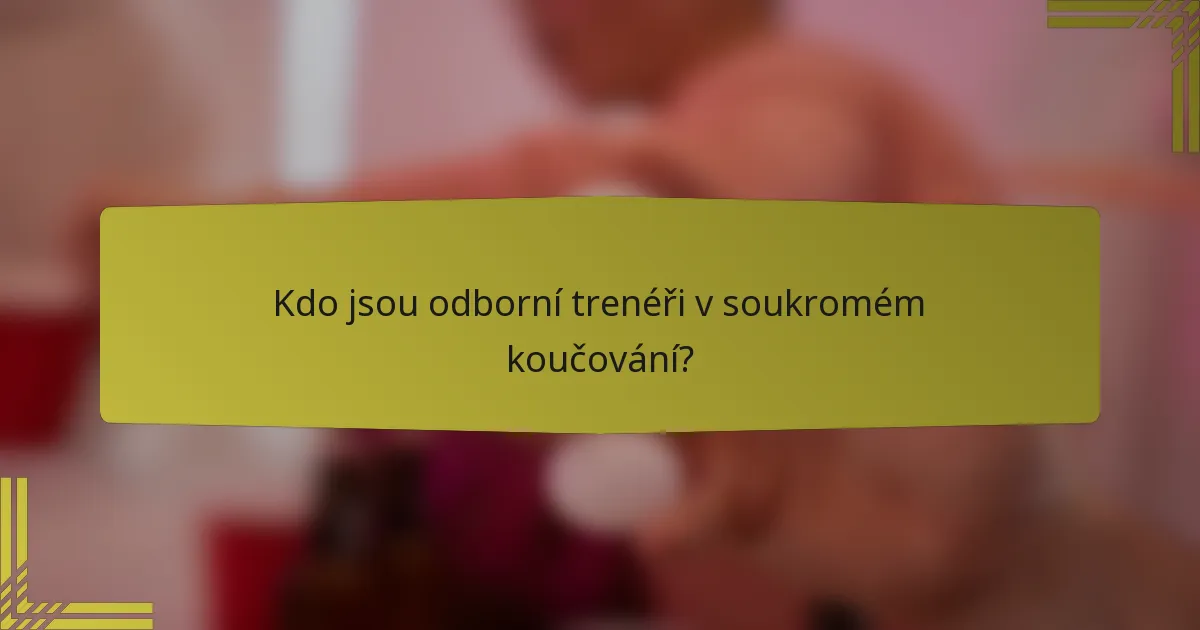 Kdo jsou odborní trenéři v soukromém koučování?