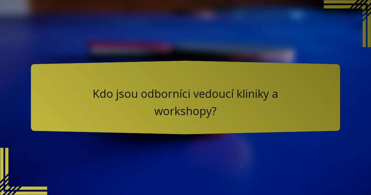 Kdo jsou odborníci vedoucí kliniky a workshopy?