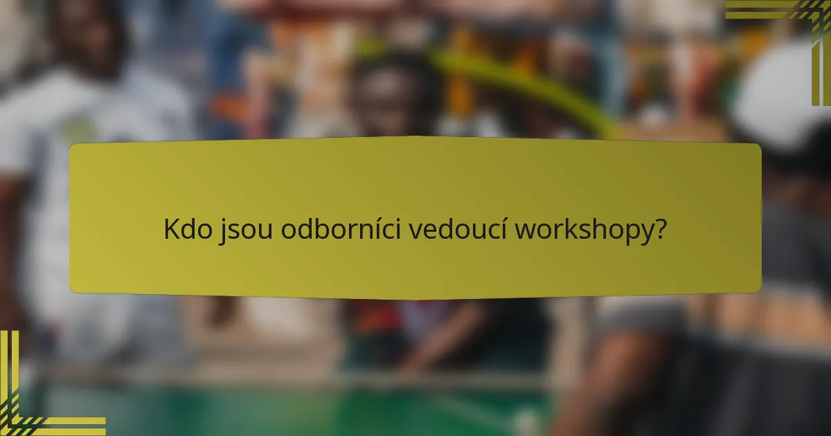 Kdo jsou odborníci vedoucí workshopy?